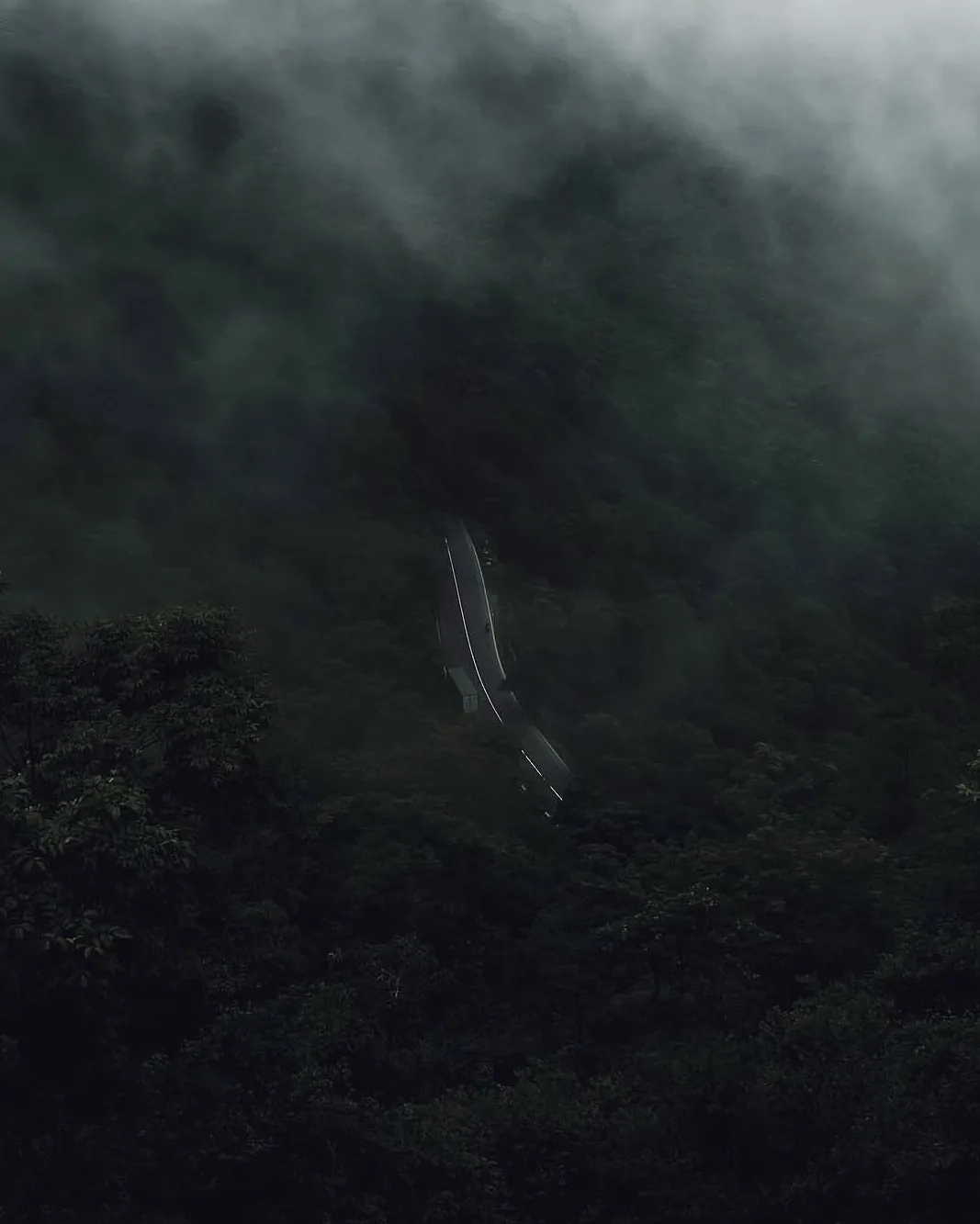 A thin road cutting through dark forest under low cloud