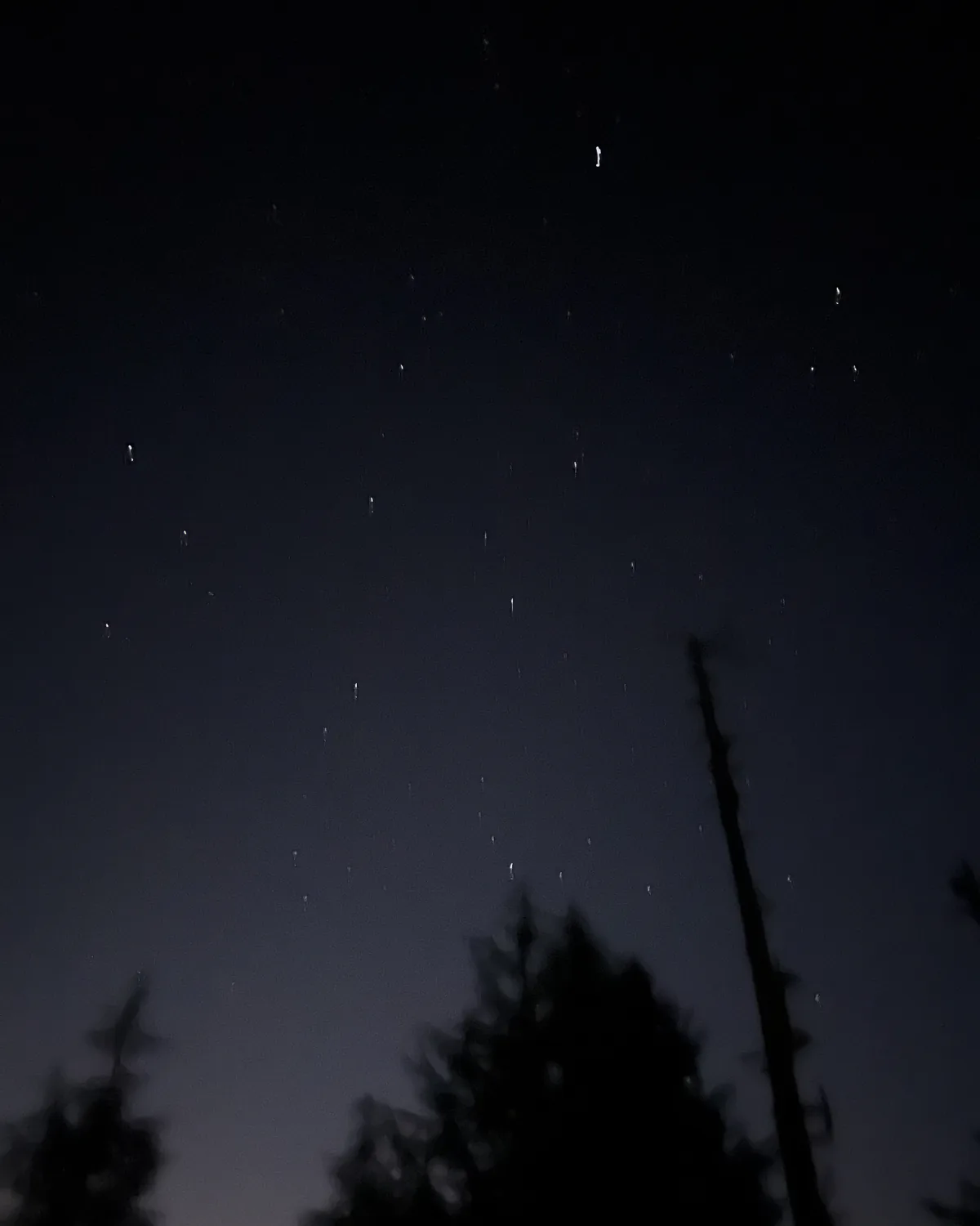A dark night sky full of stars above blurred treetops